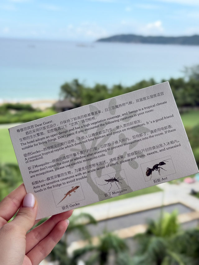 Lazy Days in Sanya ☀️⛱️ One Week of Real Beach Relaxation