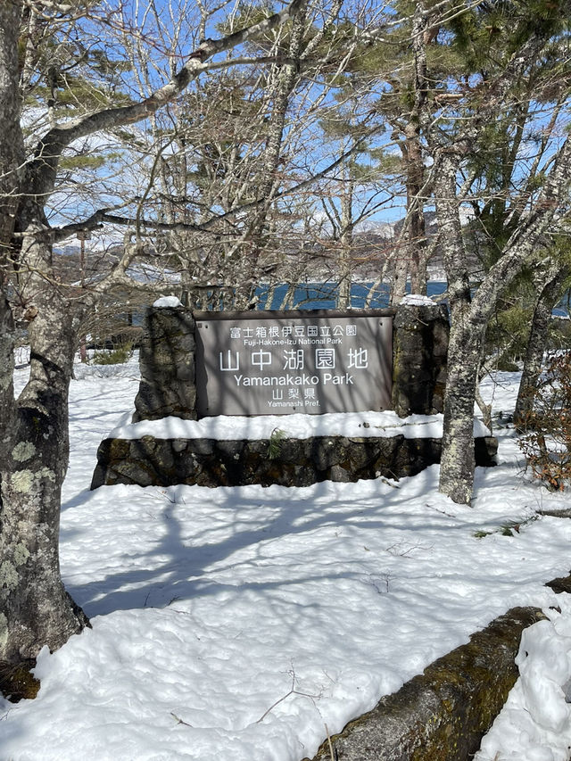 Road to Lake Yamanaka ❄️