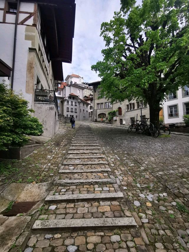 🏰Fribourg, Where Culture Meets Nature🏞️