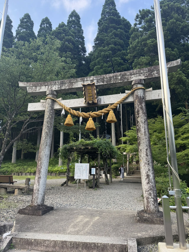 名古屋近郊 莫內之池！