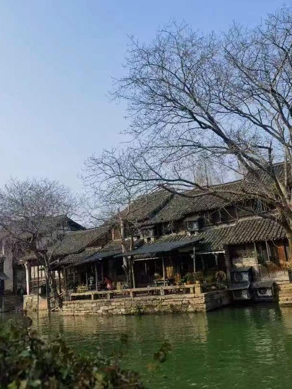 🌿 Tranquility by the Water — Daytime Strolls in Wuzhen