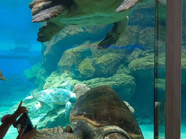 名古屋港水族館