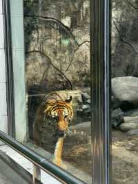 Saigon Zoo