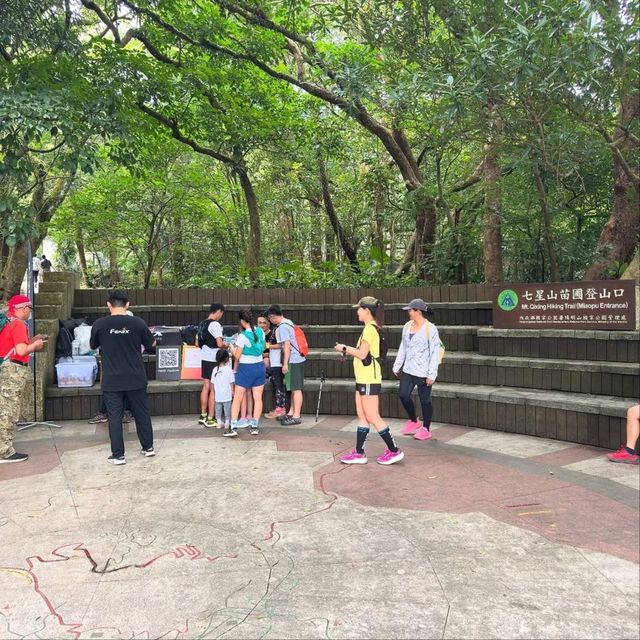 Hiking to the Top of Taipei, Qixing Mountain Main Peak Vibes