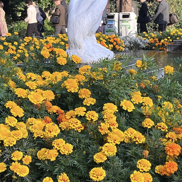 【東京/日比谷🇯🇵】日本初の洋風近代式公園✨日比谷公園 【東京/日比谷🇯🇵】日本初の洋風近代式公園✨日比谷公園