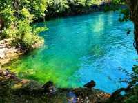Una National Park: Where Water Dances Through the Wild 