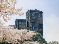 Negishi Forest Park in Yokohama