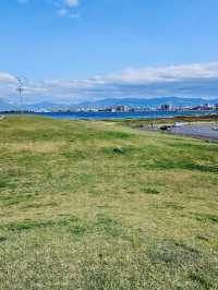 A peaceful waterfront space that offers breathtaking views of Mutsu Bay and passing cruise ships