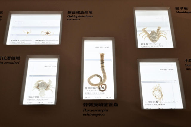 香港科學館新展覽展示國家航天航空航海三大領域成就