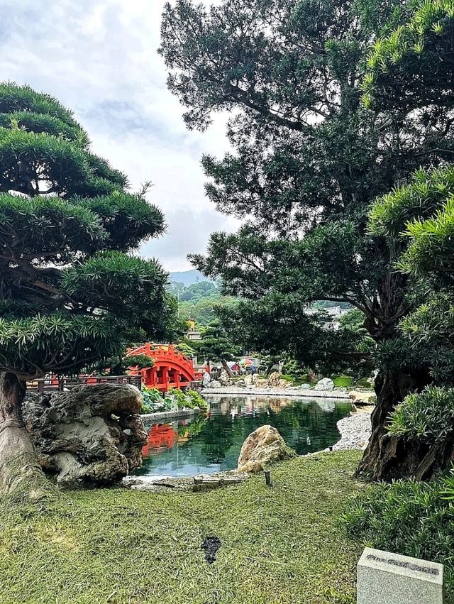 “Tang‑times Tranquil Oasis” “Tang‑times Tranquil Oasis”