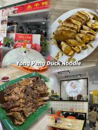 🇲🇾 Yong Peng Duck Noodle 