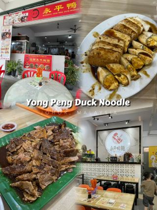 🇲🇾 용펑 오리 국수