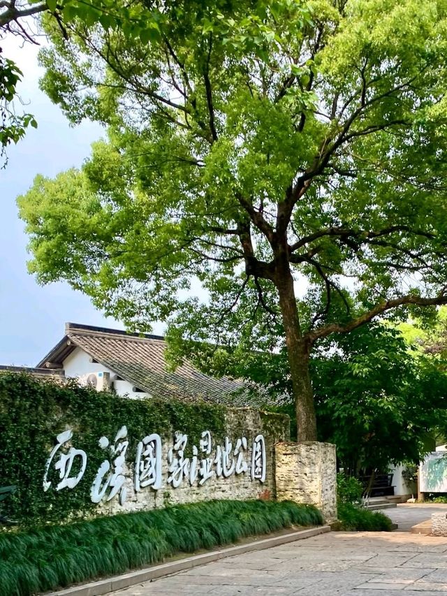 Where Venice Meets Jiangnan Water Towns Where Venice Meets Jiangnan Water Towns