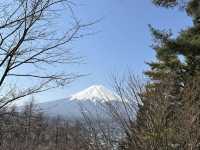 新倉富士淺間神社:捕捉富士山最經典的瞬間