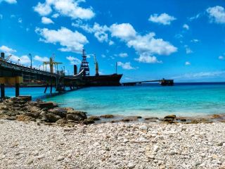 Underwater Wonders at Salt Pier