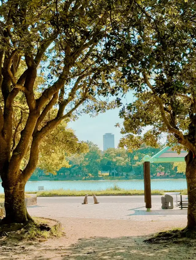 福岡必訪景點：大濠公園