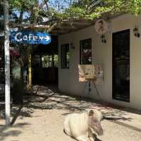 Hidden Country Stables in Penang