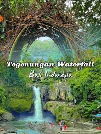Chasing the Beauty of Tegenungan Waterfall