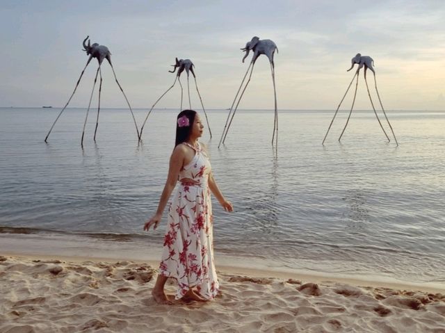 แจกแพลนเที่ยวใกล้สนามบินฟูก๊วก