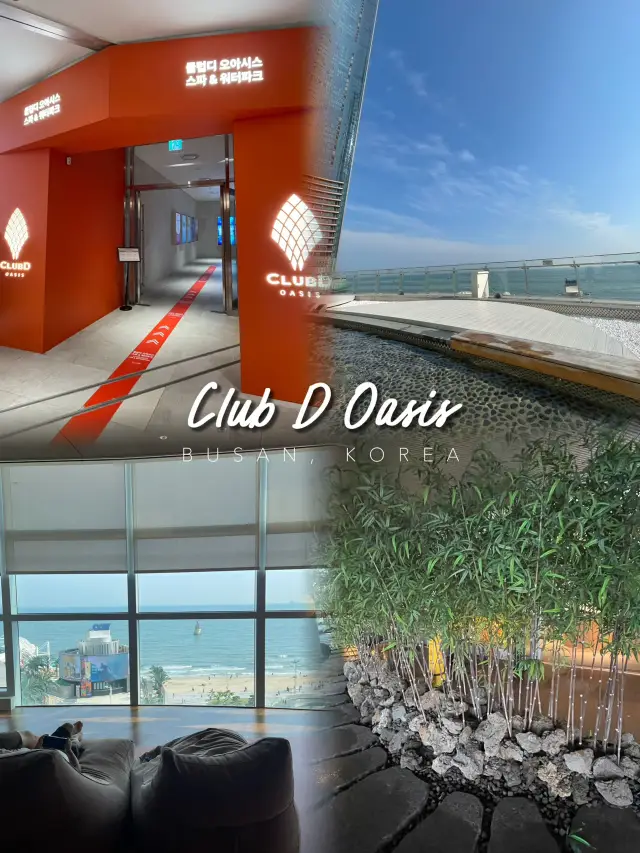🇰🇷 Club D Oasis