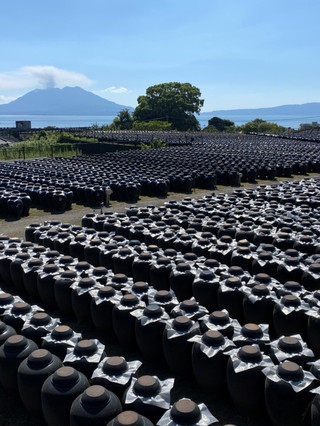 [Kagoshima, Kirishima City] ⛩️Kirishima Shrine🏺Black Vinegar Garden Tsubobata ~A historical journey through the sacred land of mist and black vinegar pots~