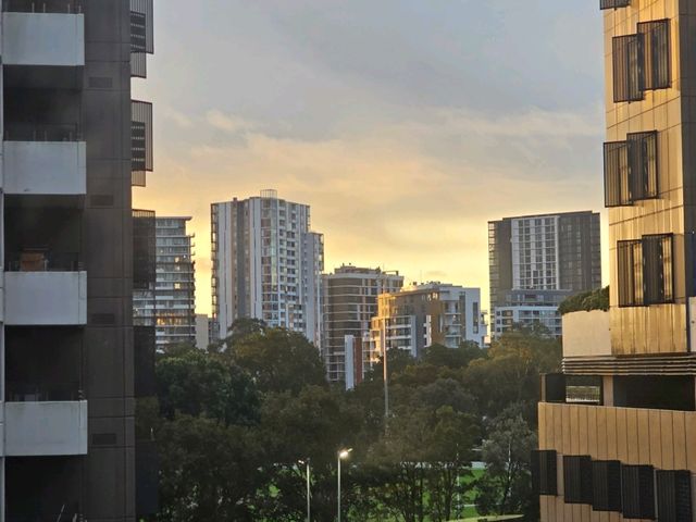 🇦🇺 호주 시드니 재방문 호텔 추천 