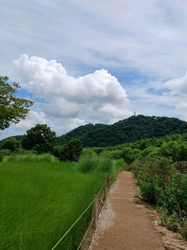 여름 피크닉 명소 🧺 여름 피크닉 명소 🧺