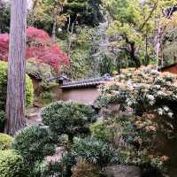 秋の紅葉を訪ねて — 昇天山 金龍禅院(横浜)