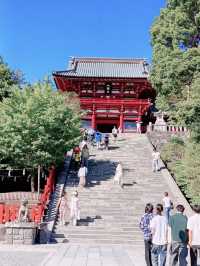 A Beautiful Day in Kamakura