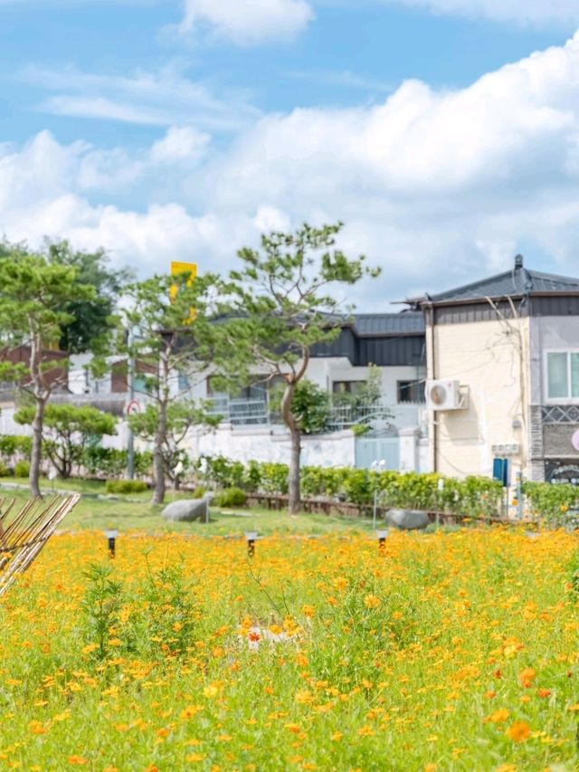 현시각, 수원에서 가장 예쁜 하남지터🧡