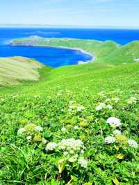 夏の礼文島で花と海と緑の絶景トレッキング