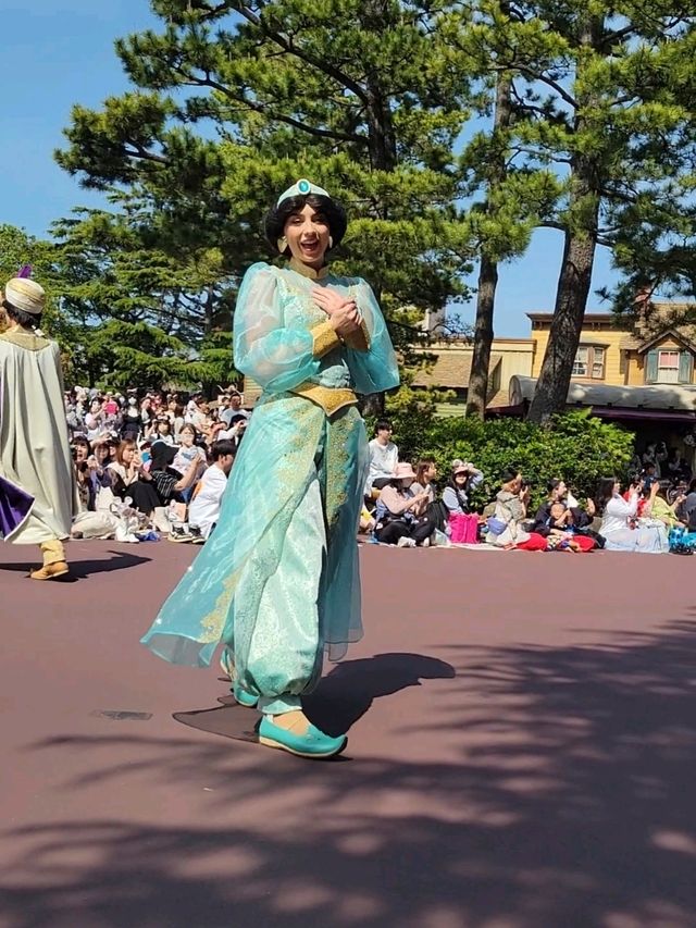 東京ディズニーランド　「ハーモニー・イン・カラー」