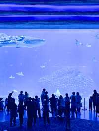 珠海•長隆海洋王國之旅