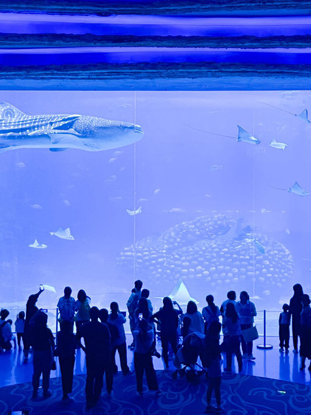 珠海•長隆海洋王國之旅