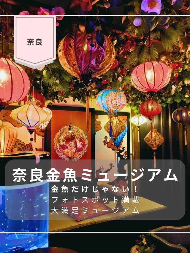 【奈良】フォトスポット満載！10奈良金魚ミュージアム