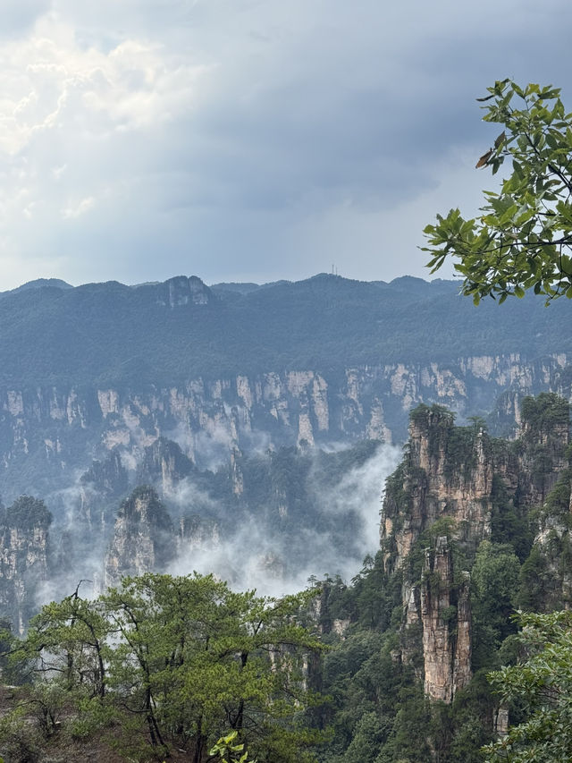 Exploring Zhangjiajie National Forest Park – A Journey into the Real Pandora