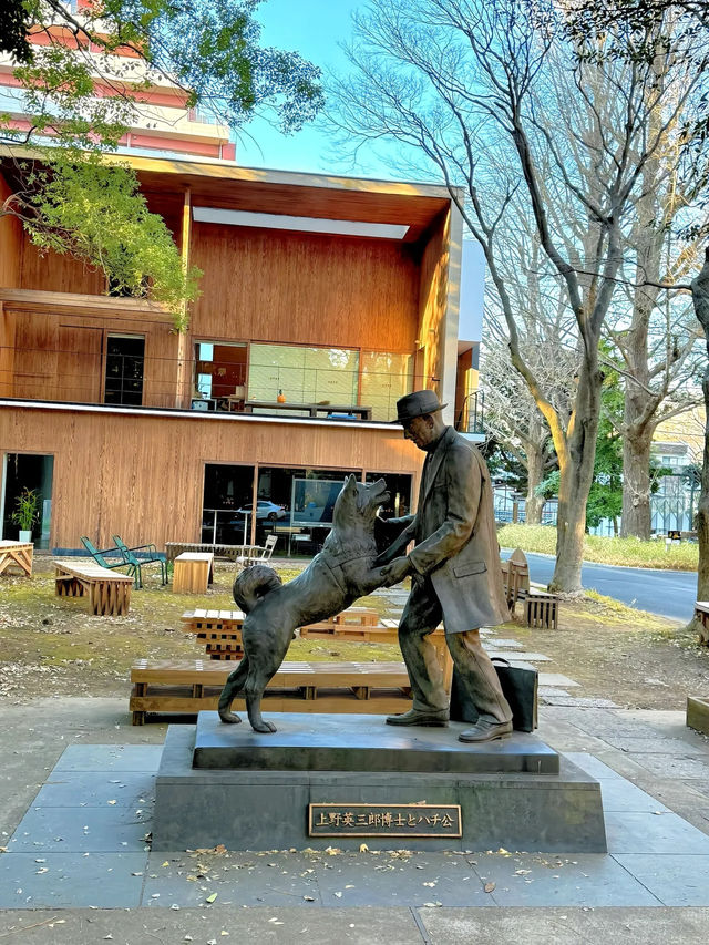 【东京大学｜学术殿堂与历史光影】