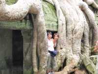 Ta Prohm, Cambodia: Where Roots Embrace Ruins