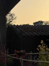 🌿✨ บ้านป่าเหมี้ยง หมู่บ้านเล็ก ๆ ท่ามกลางขุนเขา