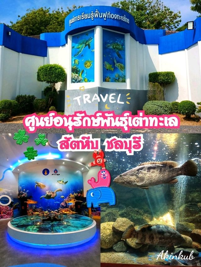 เต่าน้อย ที่เที่ยวสำหรับเด็กห้ามพลาด