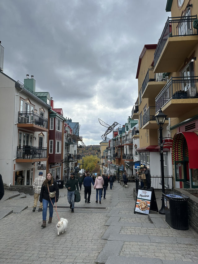 🇨🇦モントランブラン（Mont-Tremblant）の紅葉ハイキング 🍁