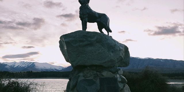 Unforgettable Stay in Tekapo – Skyblue Room Experience