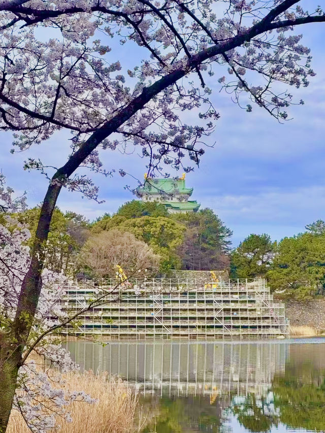 🌸나고야 여행 꿀팁 & 필수 코스