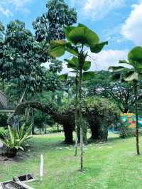 Roaring Good Time at Taman Botani Perdana’s Dinosaur Park!