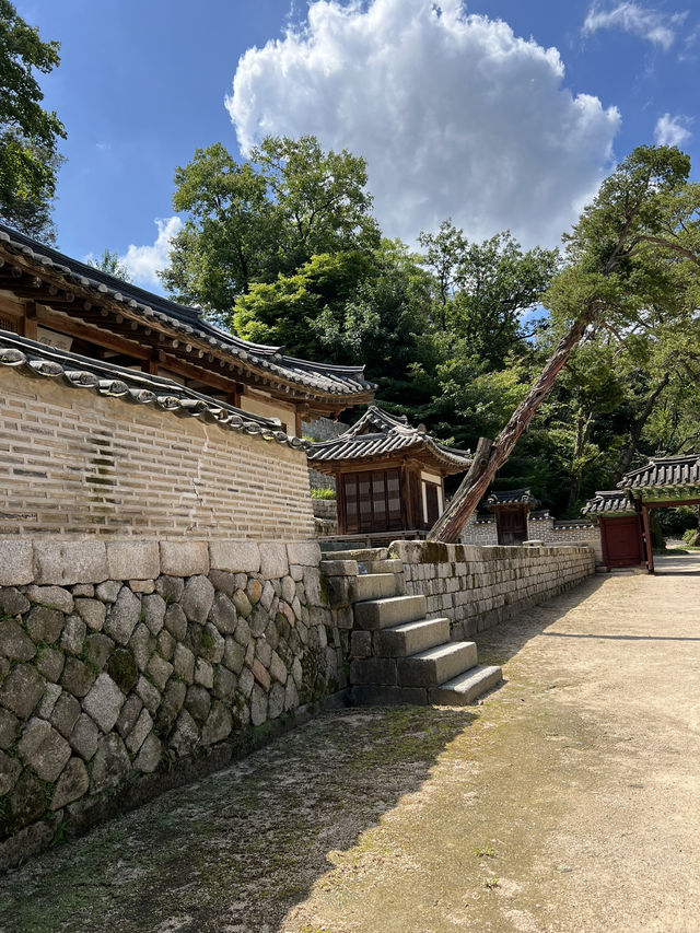 창덕궁 후원의 풍경🌳