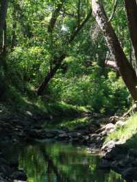 Houston Audubon – Texas