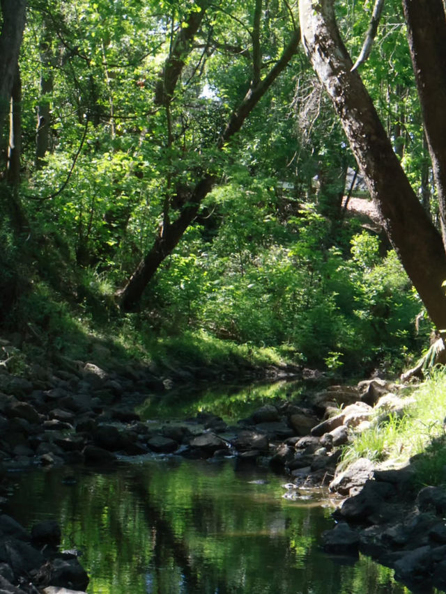 Houston Audubon – Texas