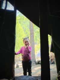 Reindeer Herders’ Village – Taiga, Mongolia