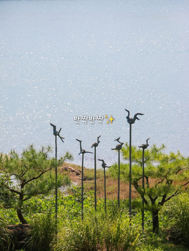 자연과 음악과 영화가 있는 아름다운 제천 여행 코스🌿