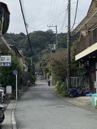 Kamakura ญีปุ่น 🇯🇵